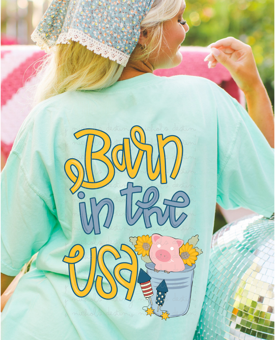 Barn In The USA w/ Pocket