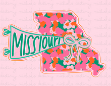  Missouri State Preppy Flag